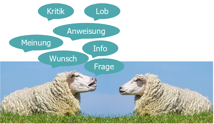 Zwei Schafe mit Sprechblasen, was wir kommunizieren. Kritik, Lob, Anweisung, Meinung, Info, Wunsch, Frage